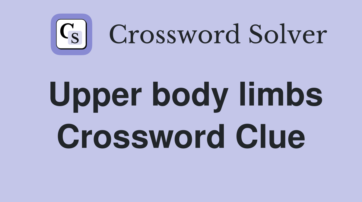Upper body limbs Crossword Clue
