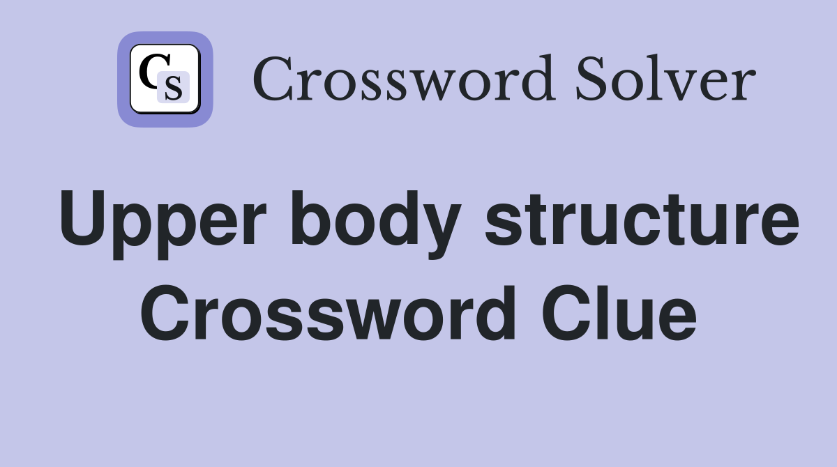 Upper body structure Crossword Clue