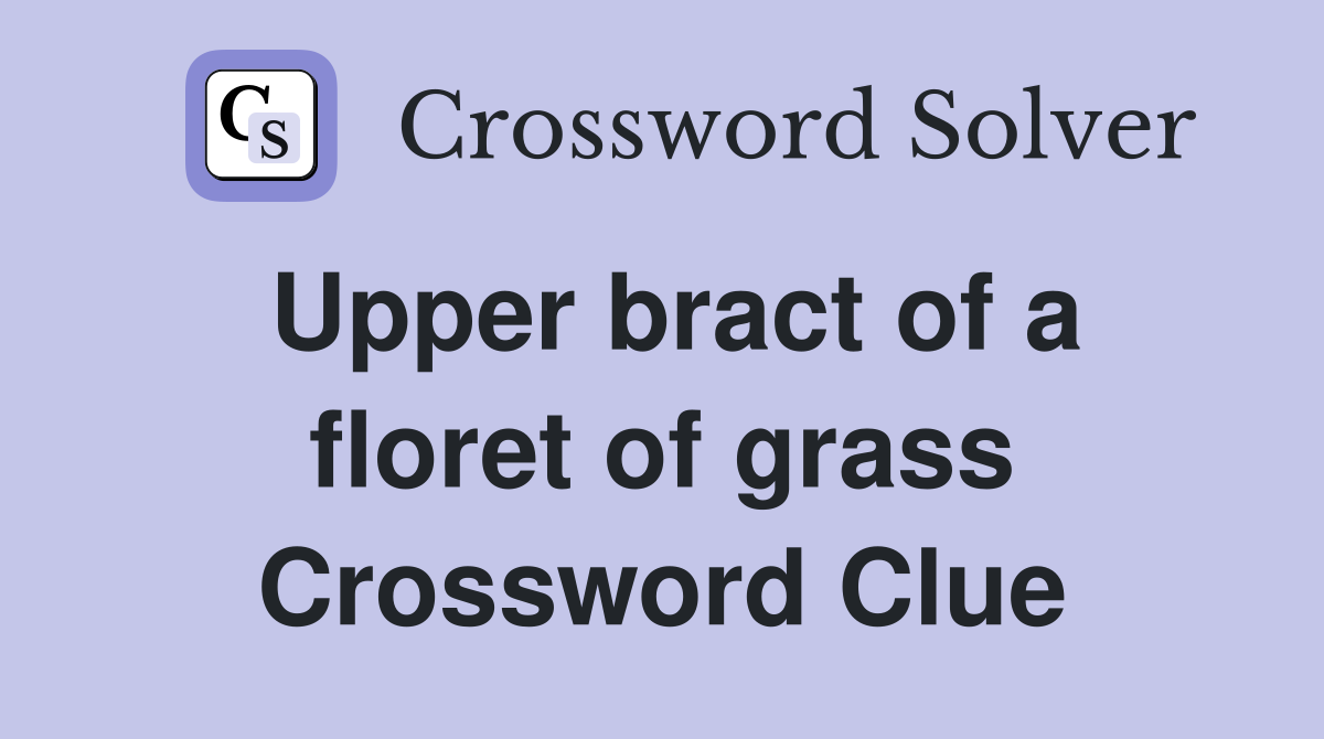 Upper bract of a floret of grass Crossword Clue