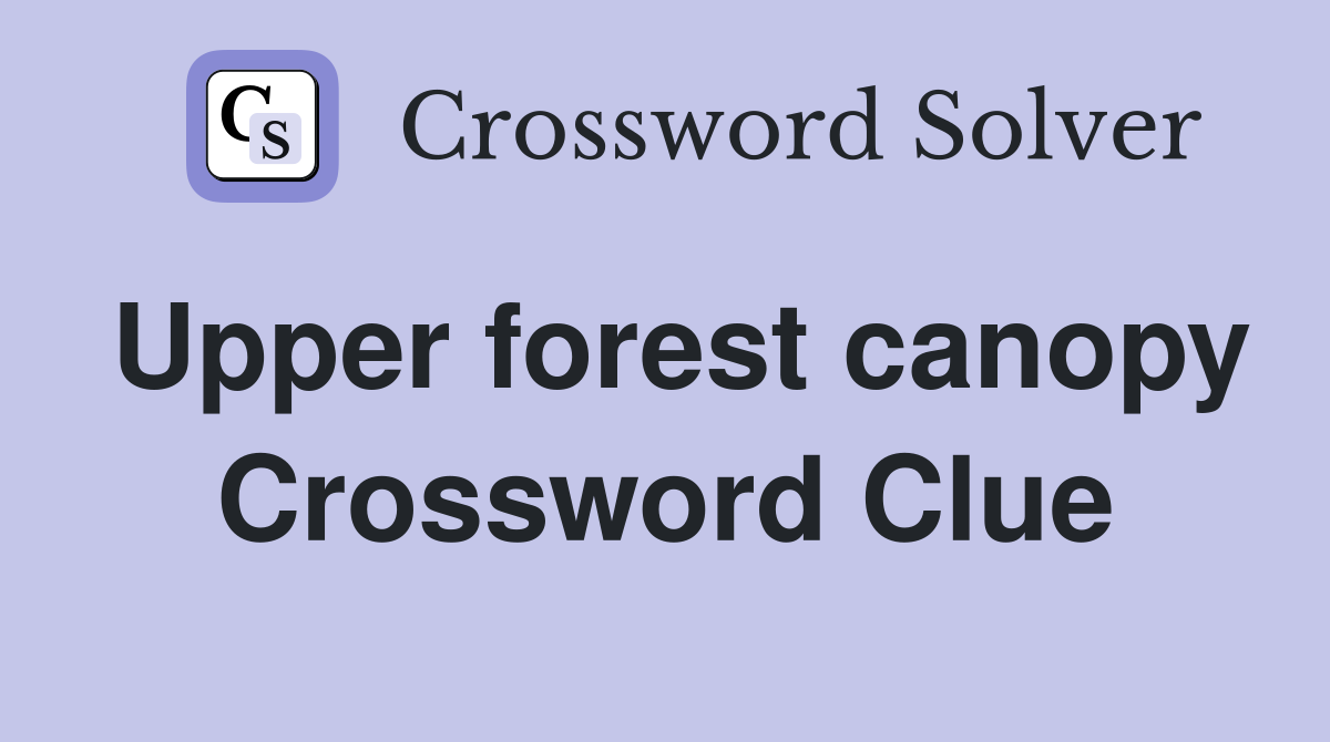 Upper forest canopy Crossword Clue