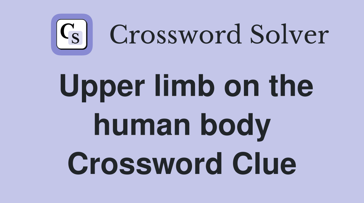 Upper limb on the human body Crossword Clue