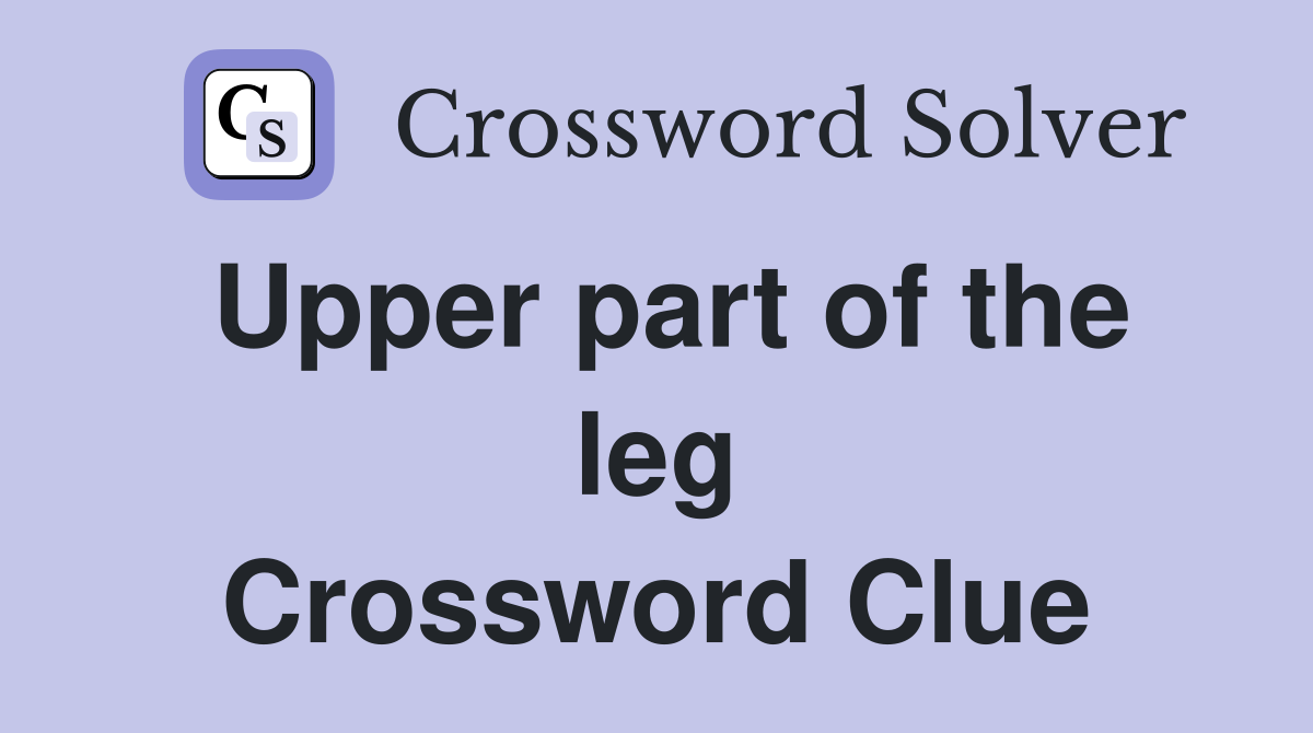 Upper part of the leg Crossword Clue