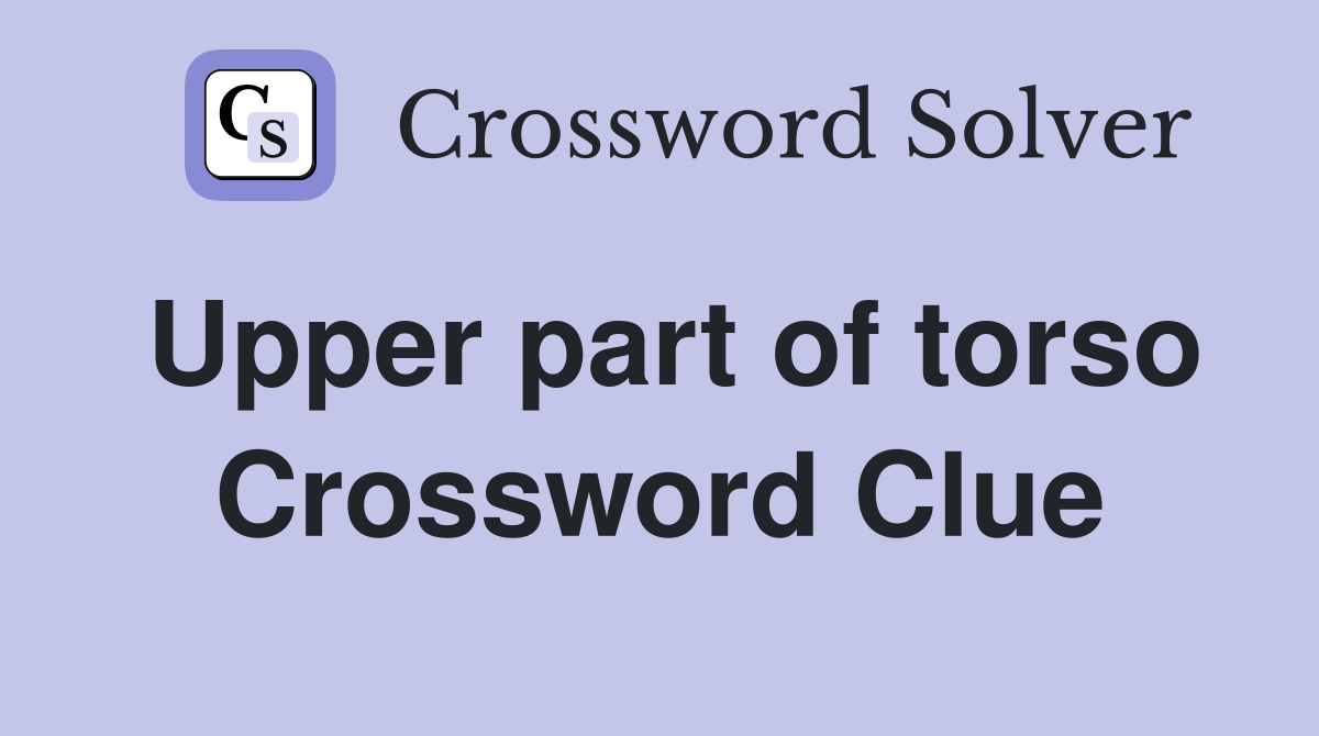 Upper part of torso Crossword Clue
