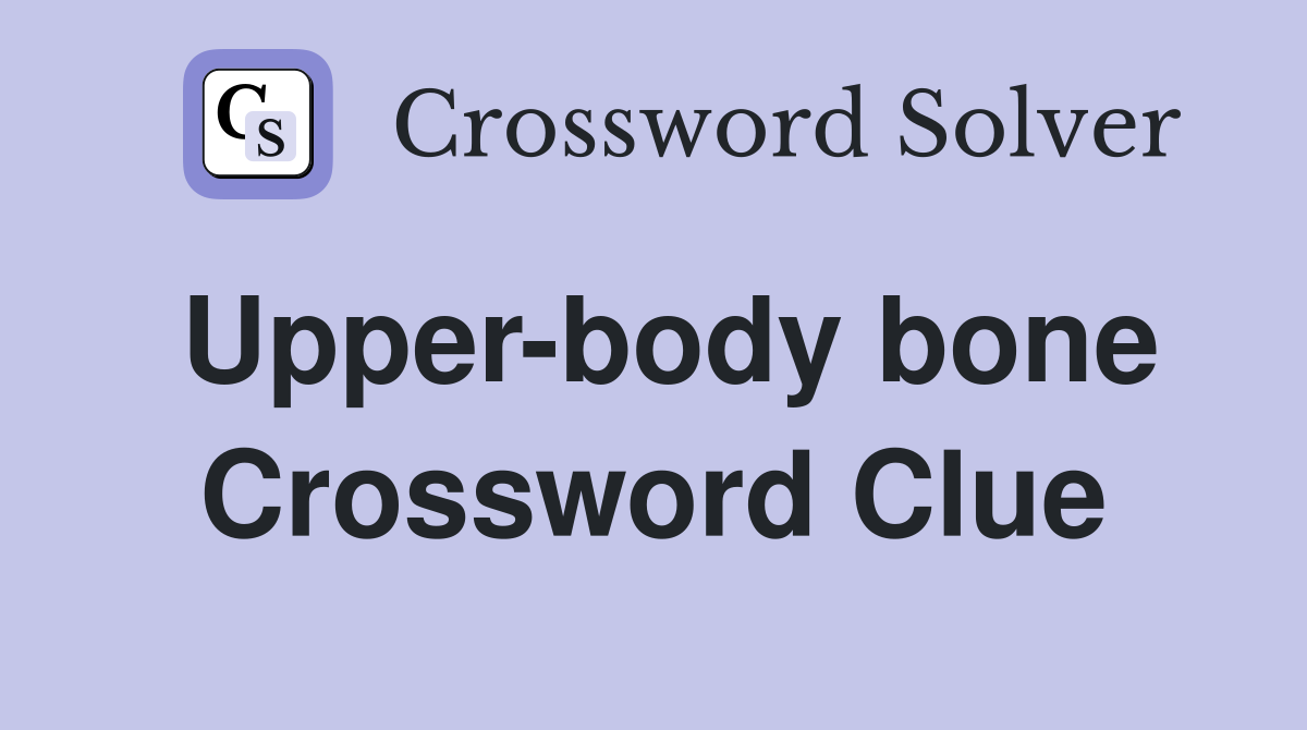 Upper-body bone Crossword Clue
