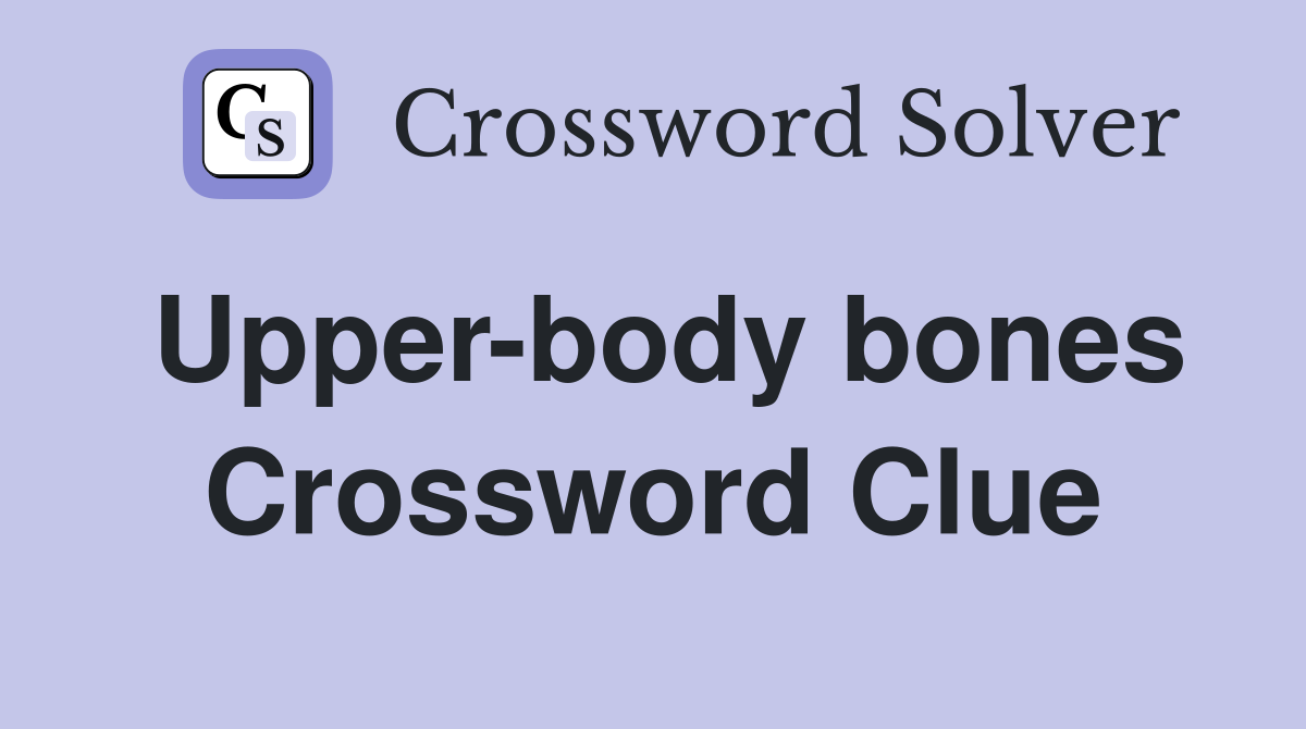 Upper-body bones Crossword Clue