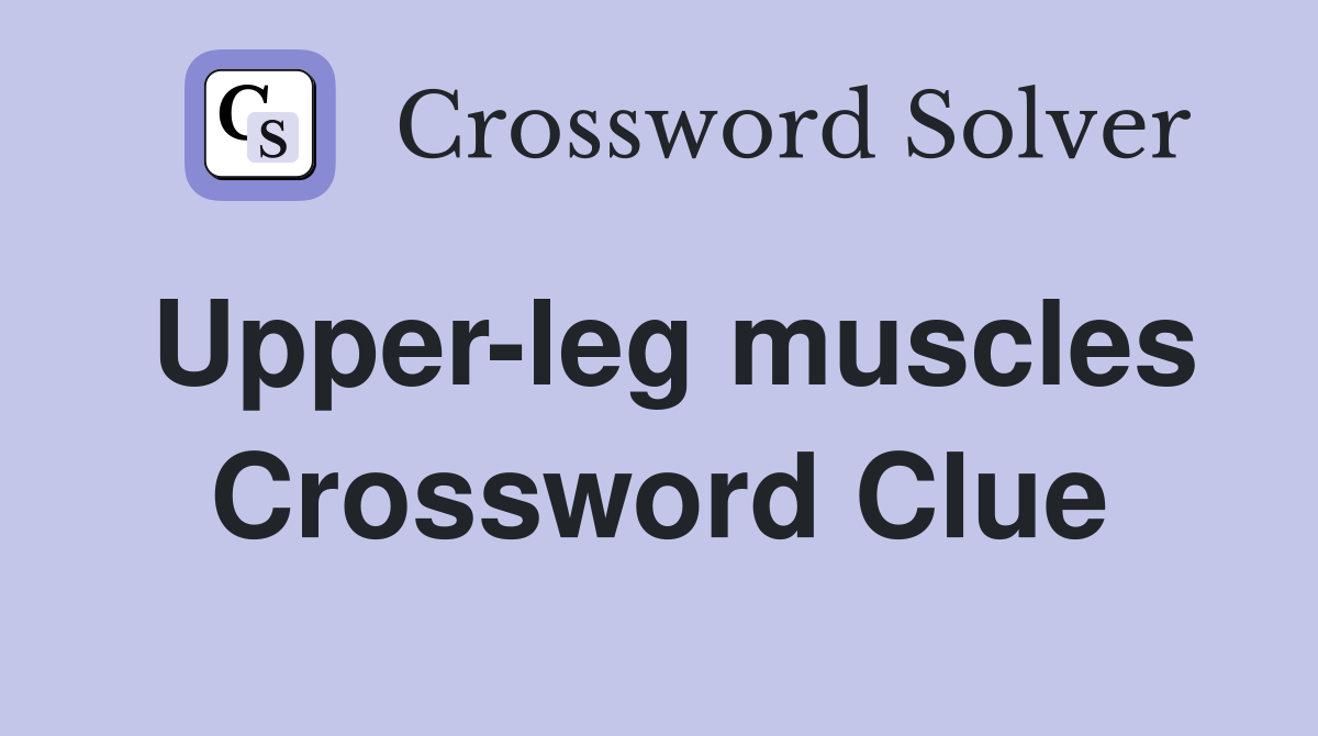 Upper-leg muscles Crossword Clue