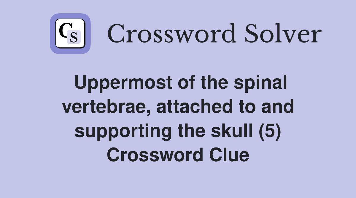 Uppermost of the spinal vertebrae, attached to and supporting the skull (5) Crossword Clue