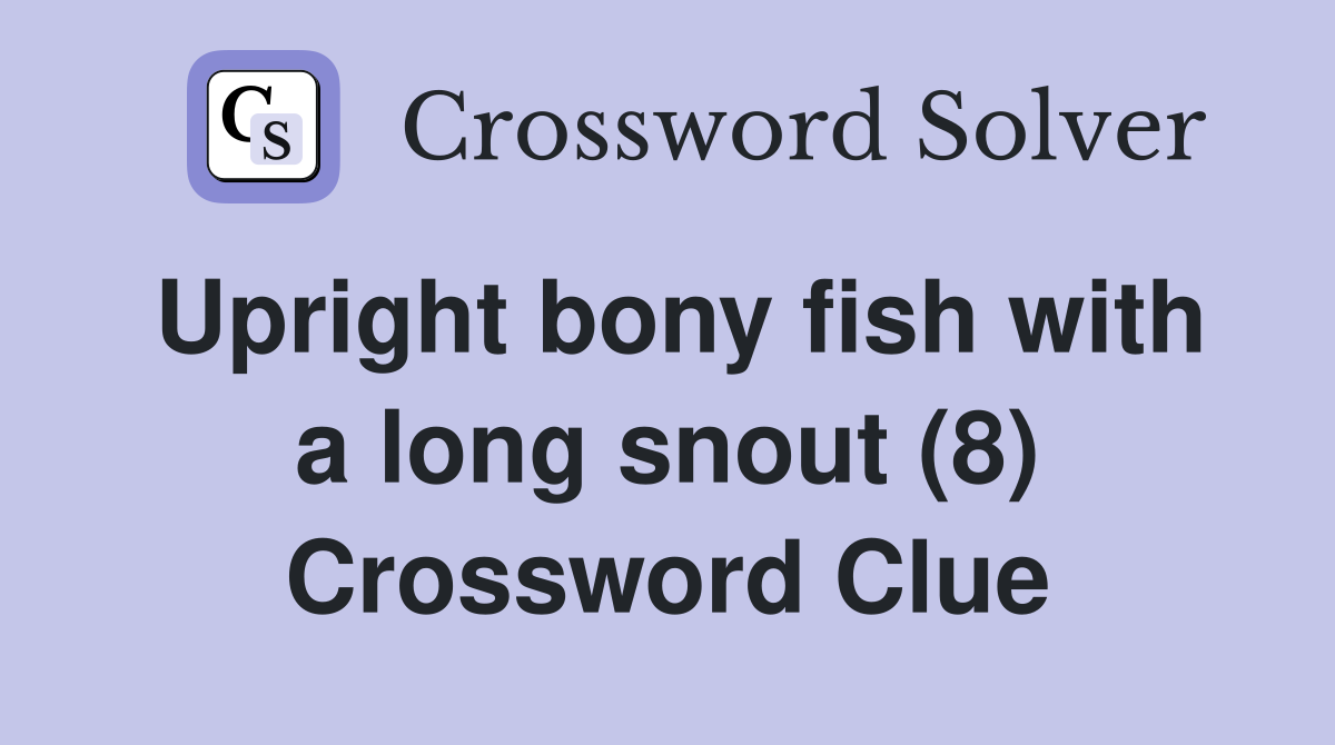 Upright bony fish with a long snout (8) Crossword Clue