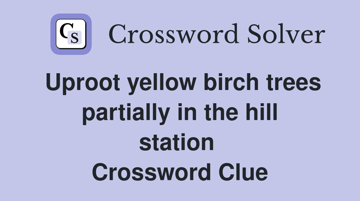 Uproot yellow birch trees partially in the hill station  Crossword Clue