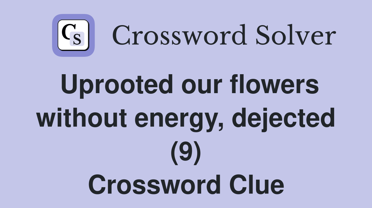 Uprooted our flowers without energy, dejected (9) Crossword Clue