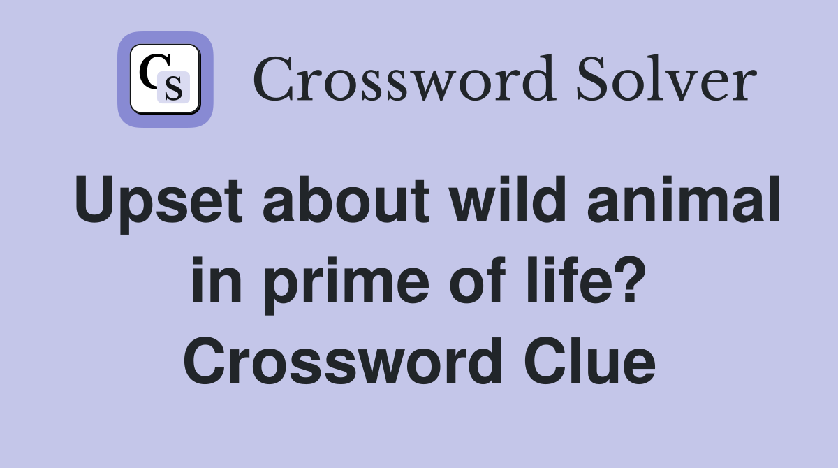 Upset about wild animal in prime of life? Crossword Clue