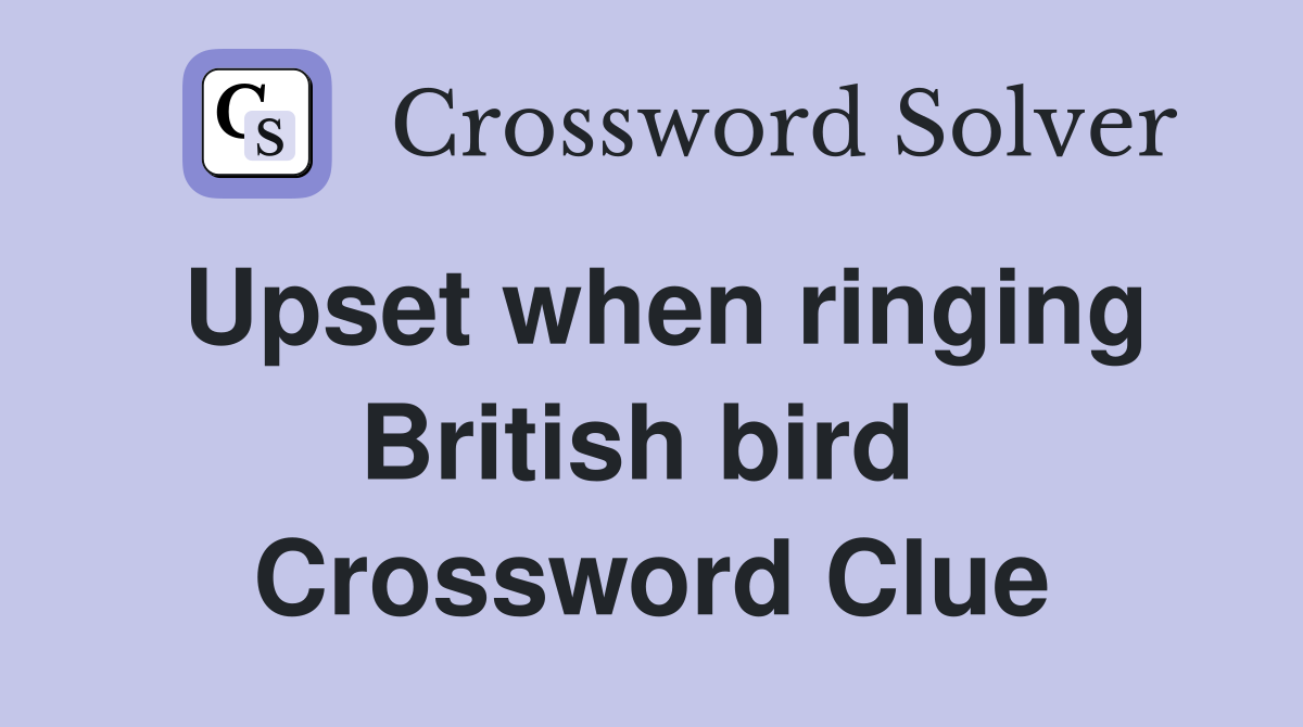 Upset when ringing British bird  Crossword Clue