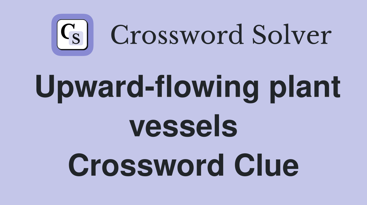 Upward-flowing plant vessels Crossword Clue