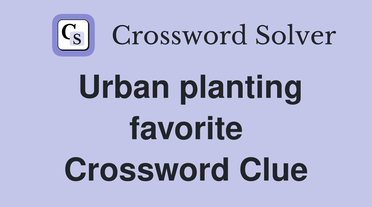 Urban planting favorite Crossword Clue
