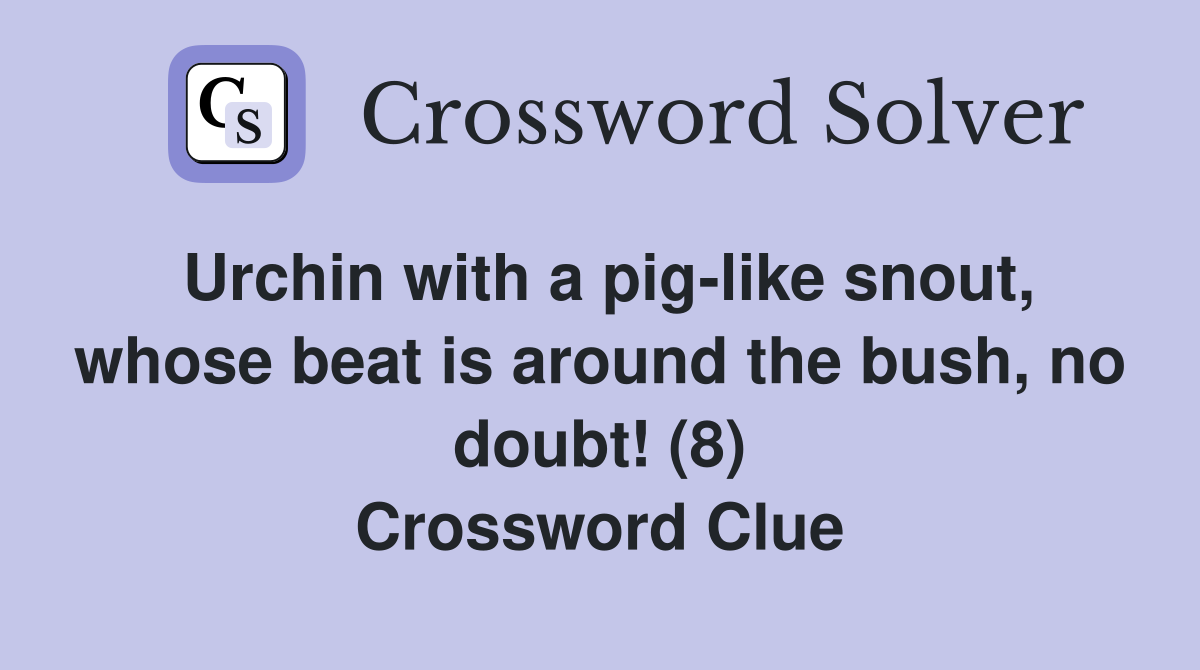 Urchin with a pig-like snout, whose beat is around the bush, no doubt! (8) Crossword Clue