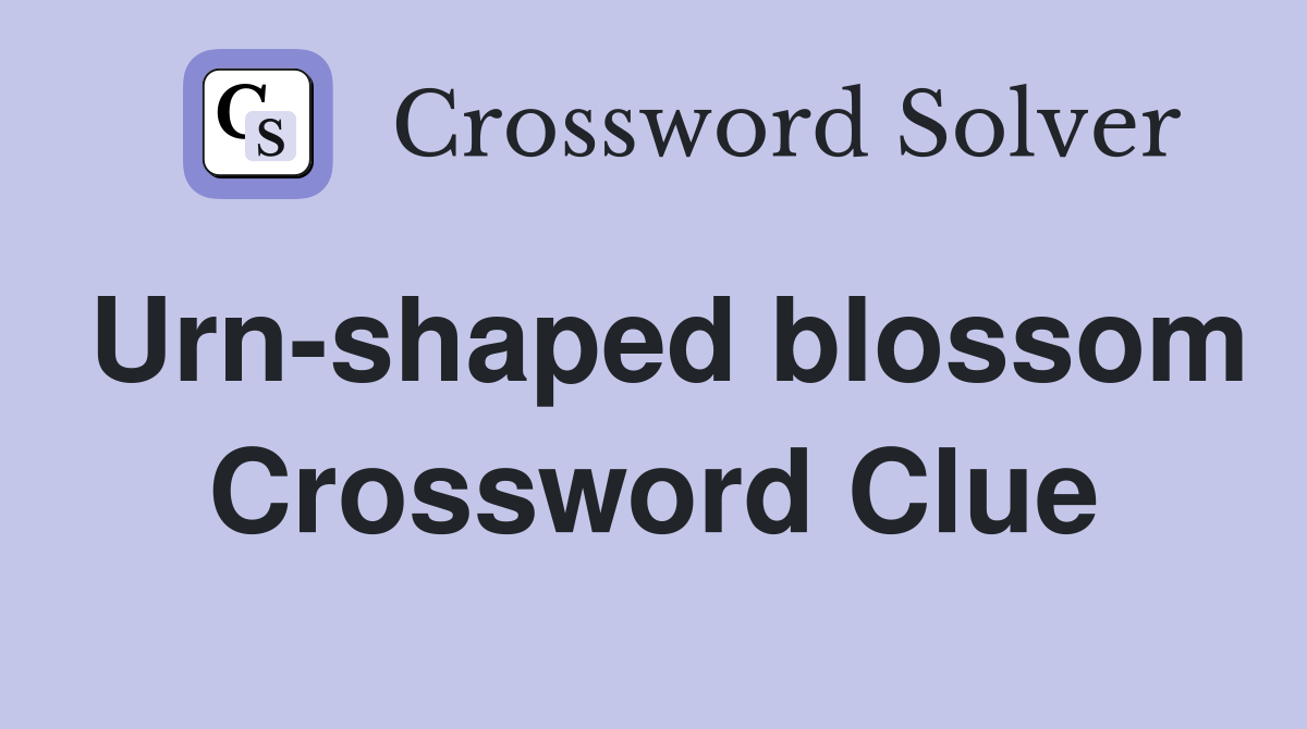 Urn-shaped blossom Crossword Clue