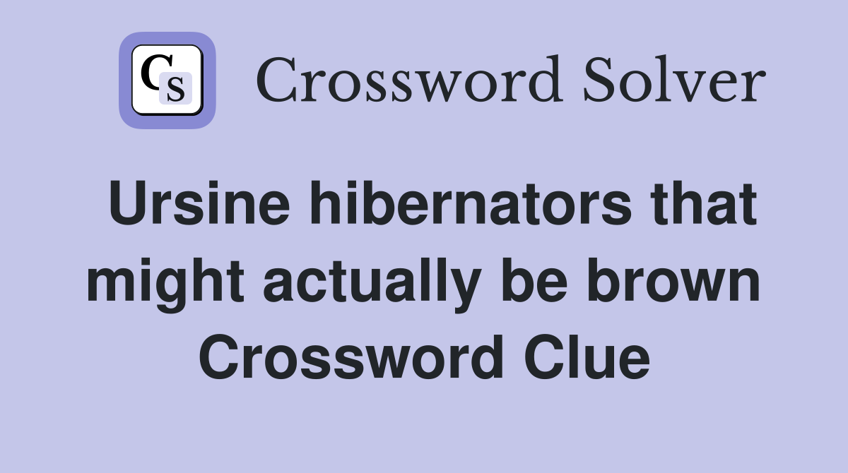 Ursine hibernators that might actually be brown Crossword Clue