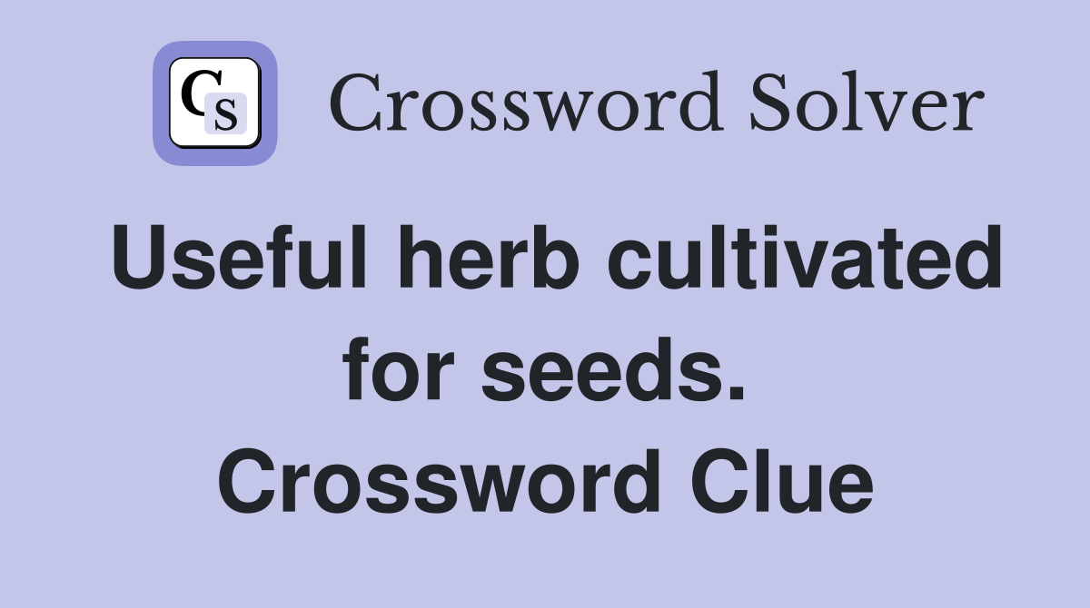 Useful herb cultivated for seeds. Crossword Clue