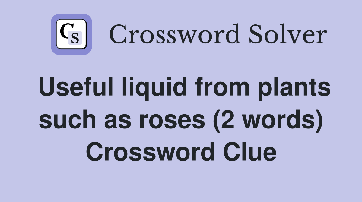 Useful liquid from plants such as roses (2 words) Crossword Clue