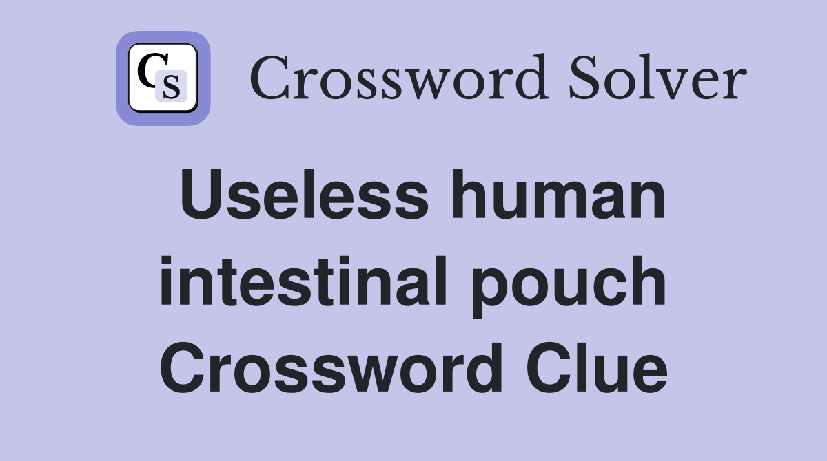 Useless human intestinal pouch Crossword Clue