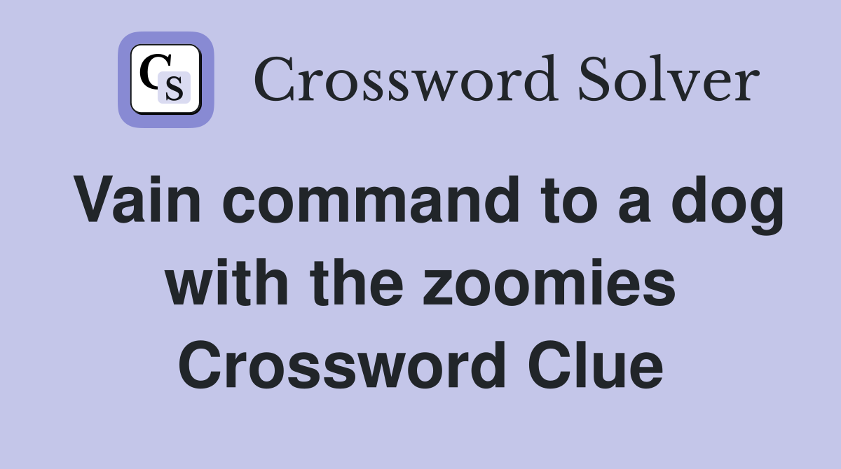 Vain command to a dog with the zoomies Crossword Clue