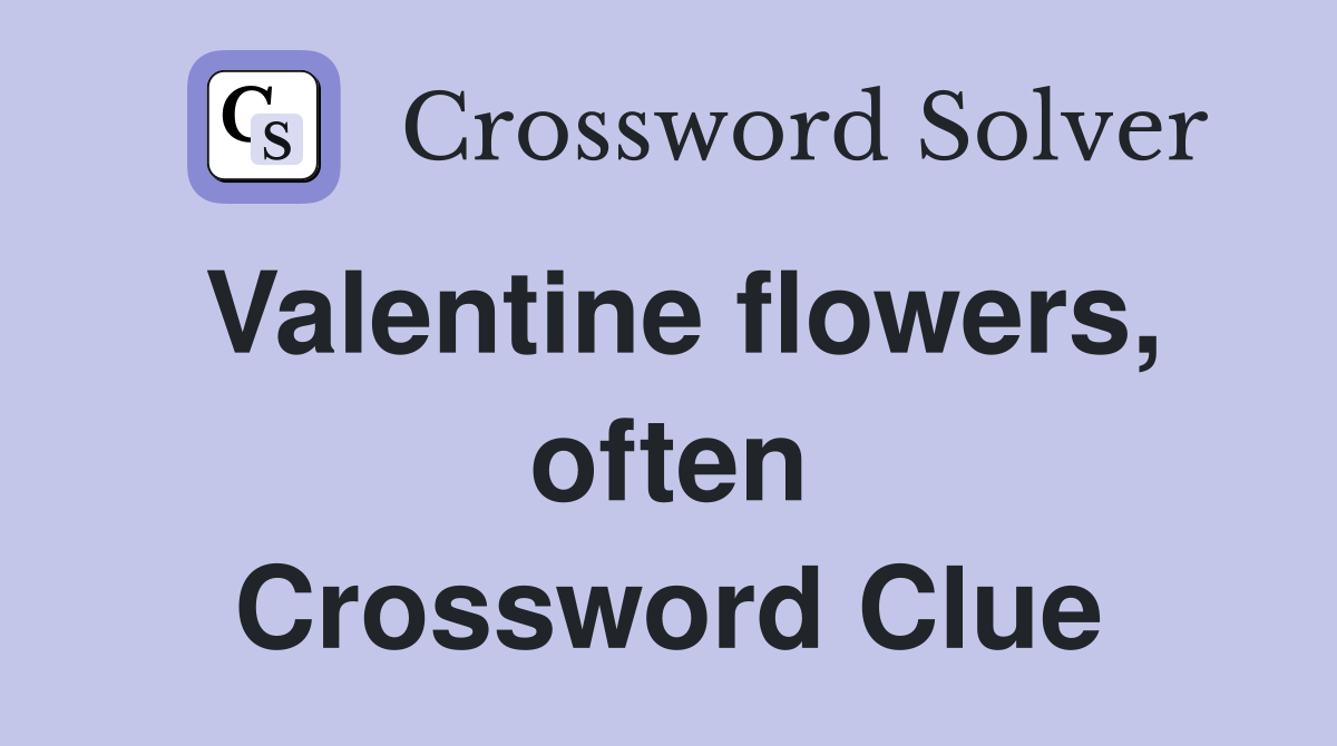 Valentine flowers, often Crossword Clue