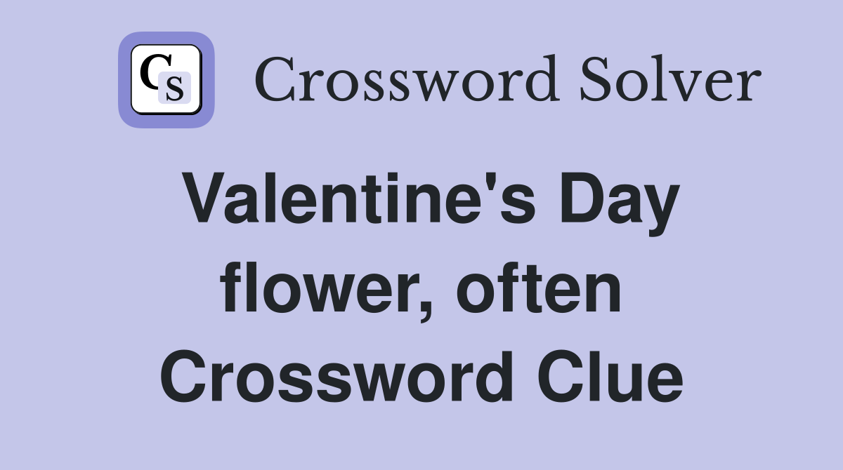 Valentine's Day flower, often Crossword Clue