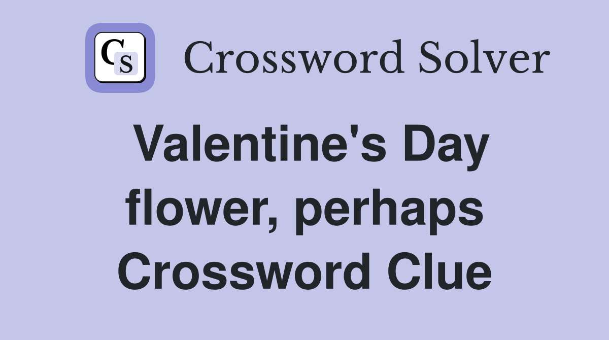 Valentine's Day flower, perhaps Crossword Clue