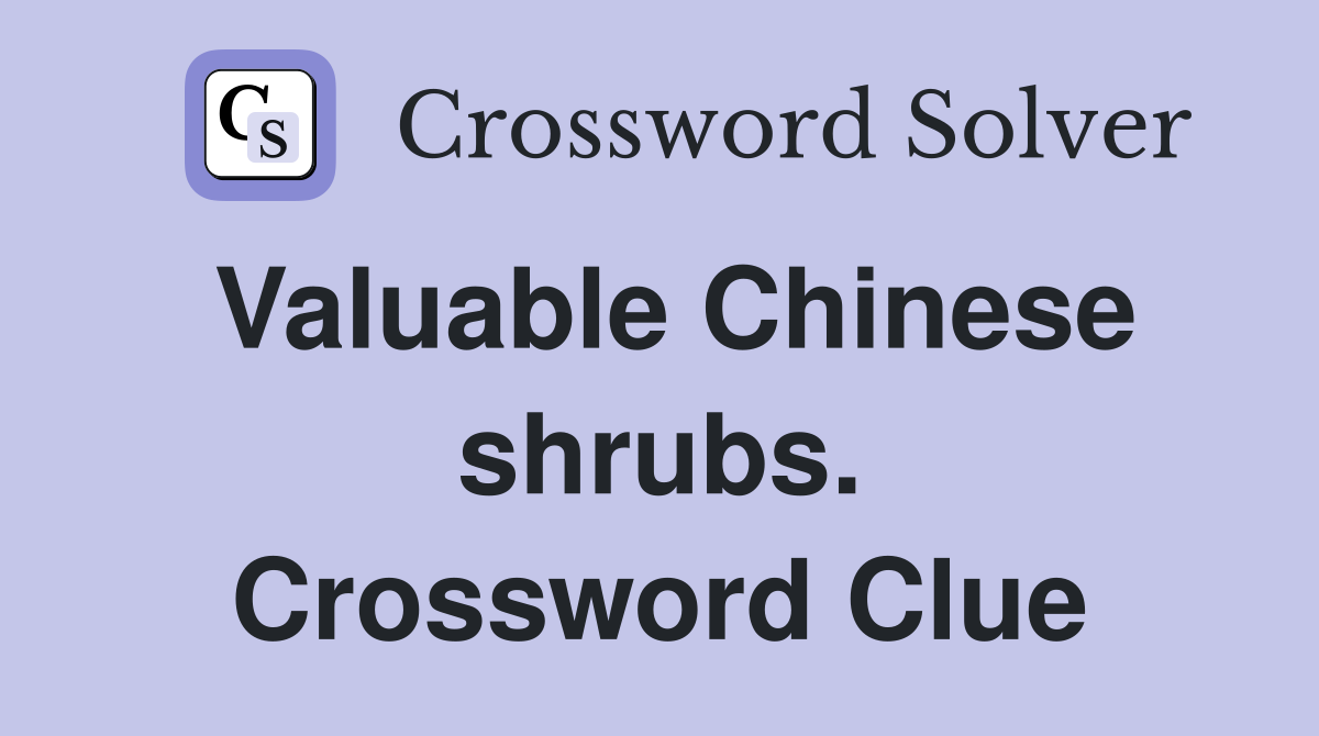 Valuable Chinese shrubs. Crossword Clue