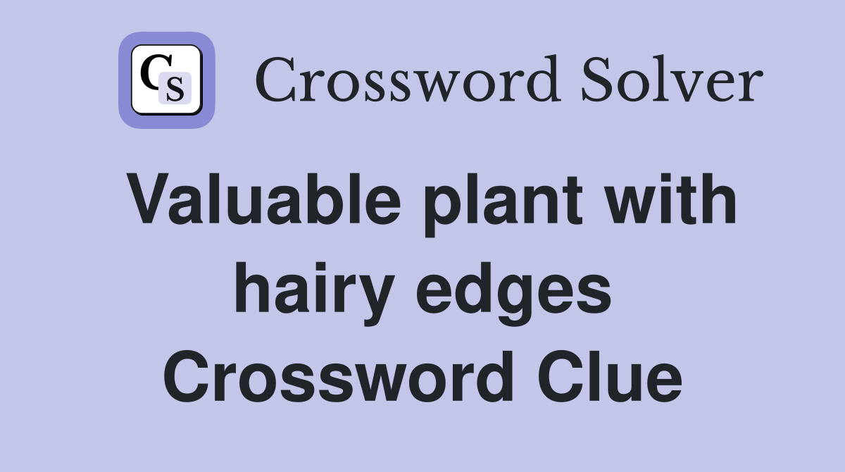 Valuable plant with hairy edges Crossword Clue