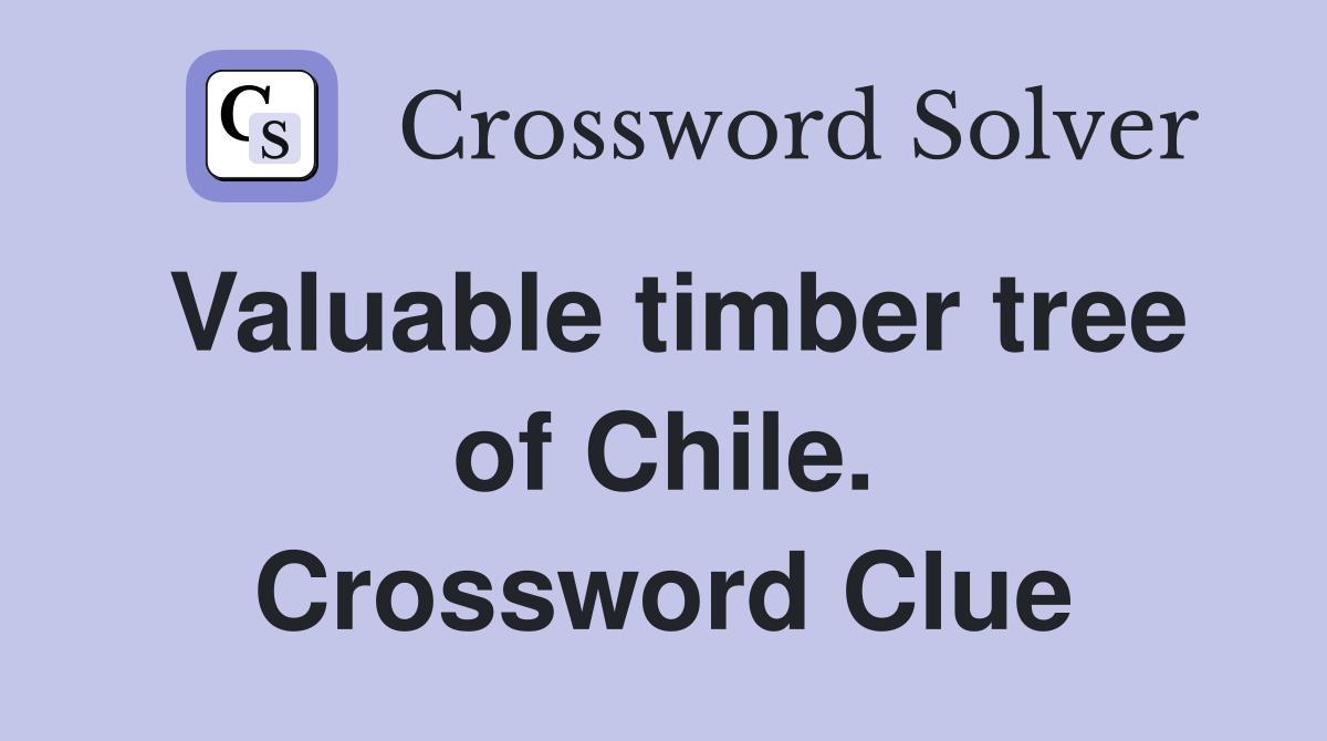Valuable timber tree of Chile. Crossword Clue