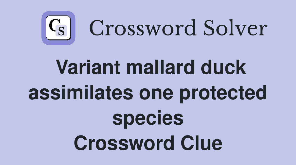 Variant mallard duck assimilates one protected species Crossword Clue