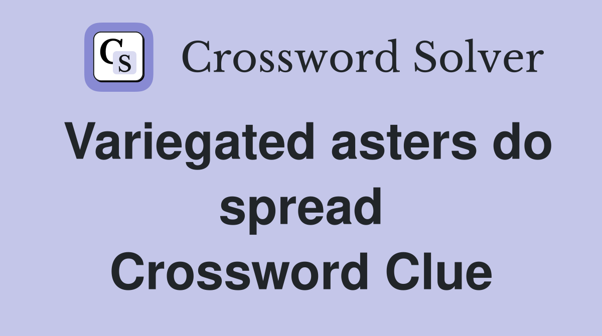 Variegated asters do spread Crossword Clue