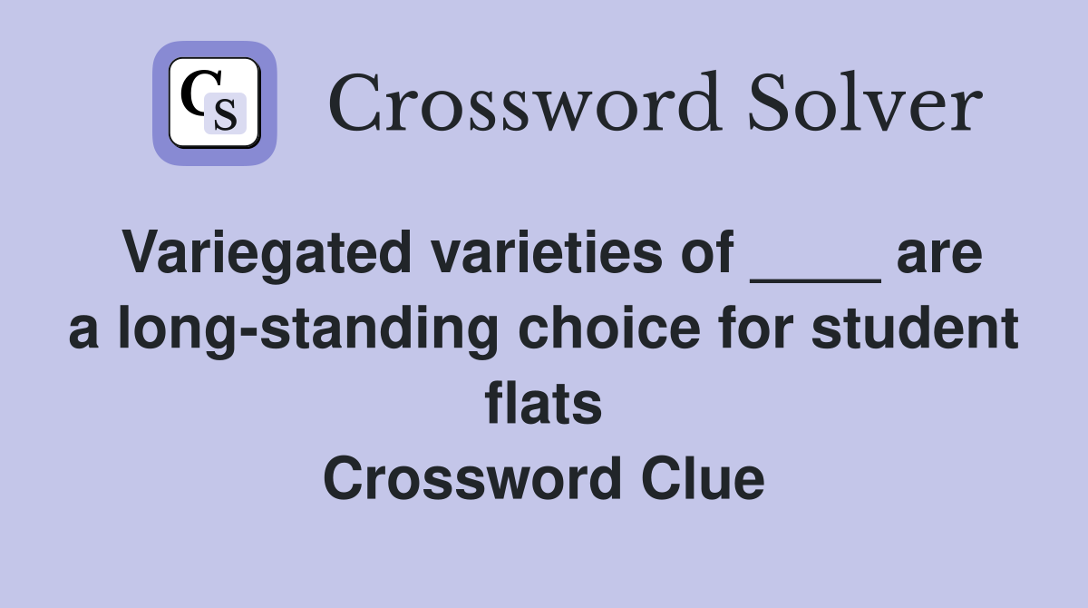 Variegated varieties of ____ are a long-standing choice for student flats Crossword Clue