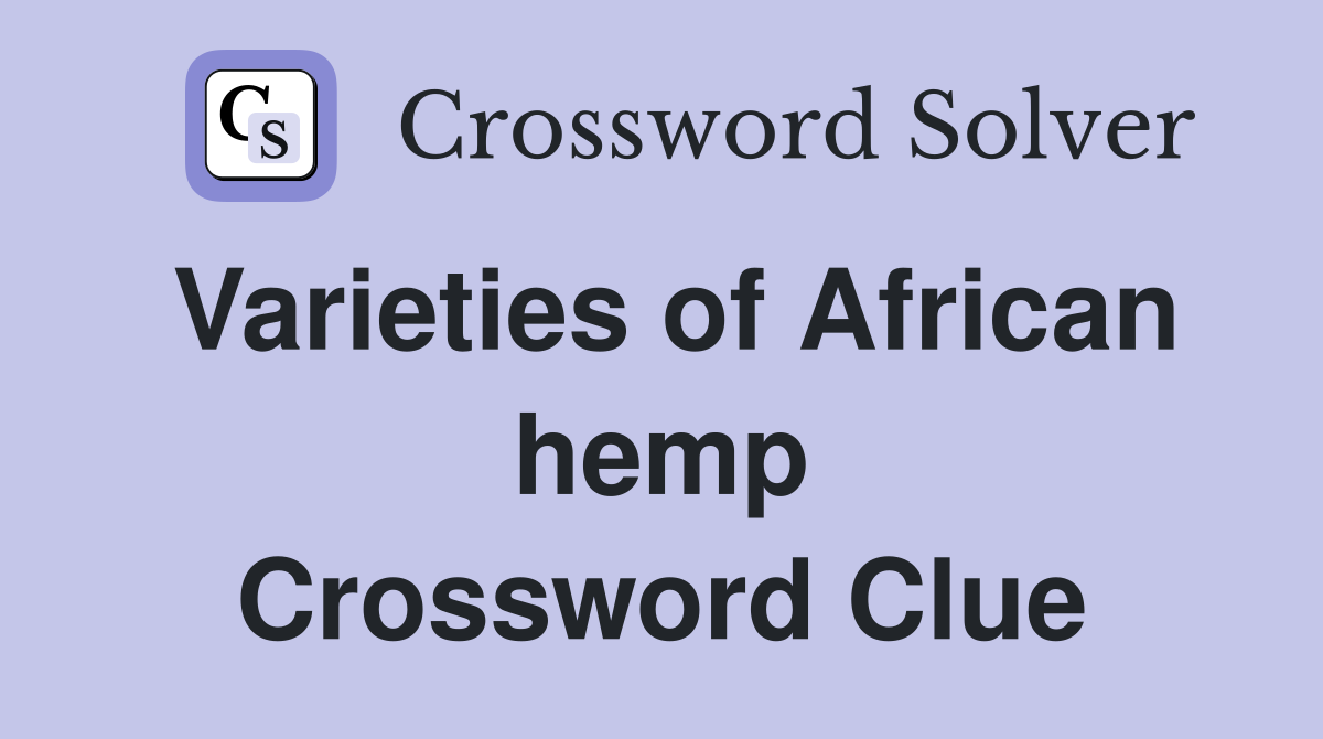 Varieties of African hemp Crossword Clue