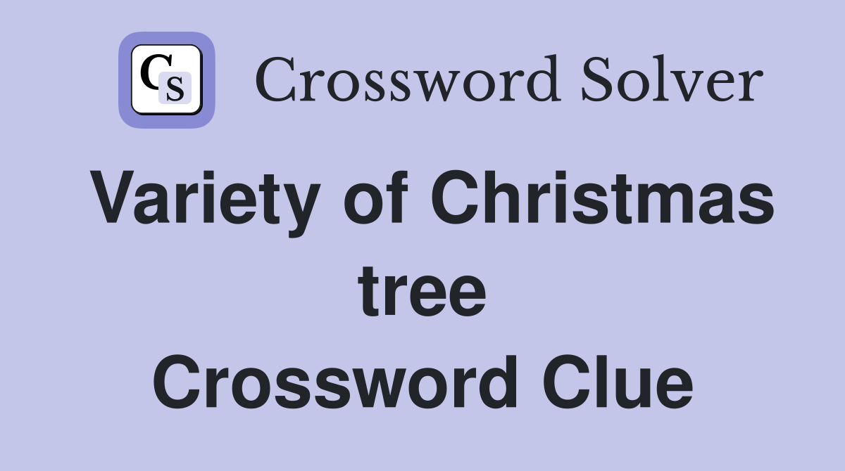 Variety of Christmas tree Crossword Clue