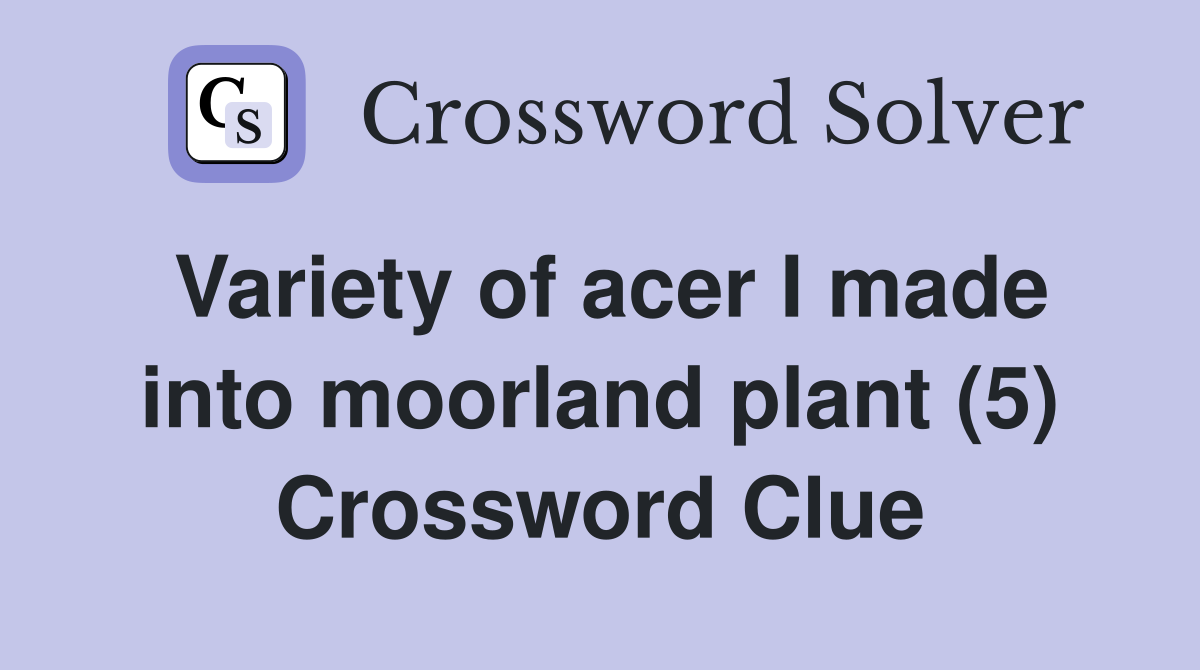 Variety of acer I made into moorland plant (5) Crossword Clue