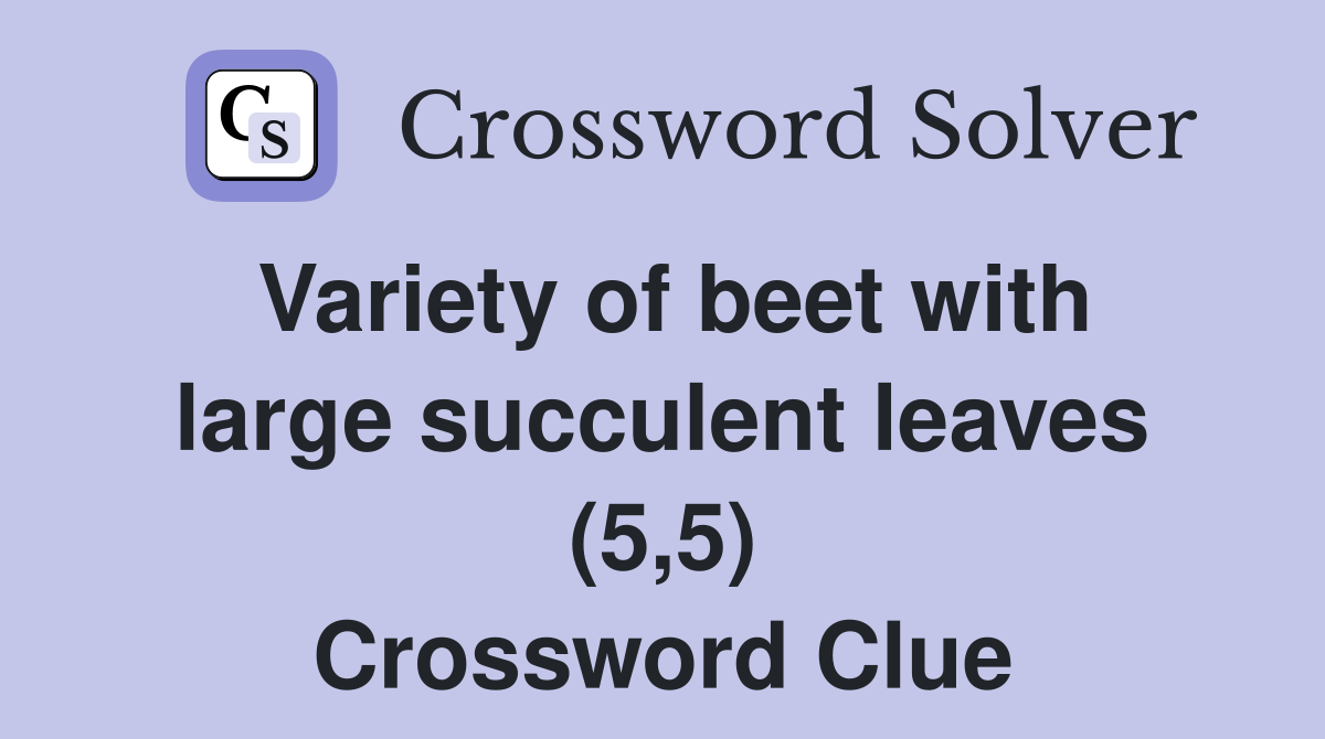 Variety of beet with large succulent leaves (5,5) Crossword Clue