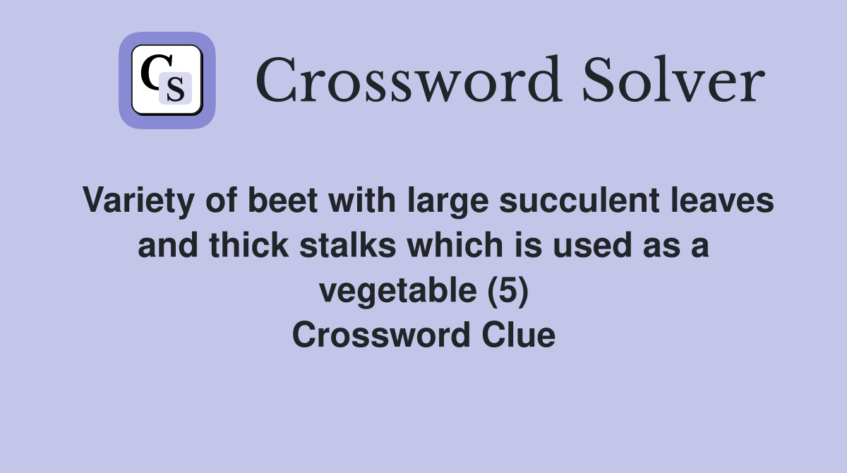 Variety of beet with large succulent leaves and thick stalks which is used as a vegetable (5) Crossword Clue