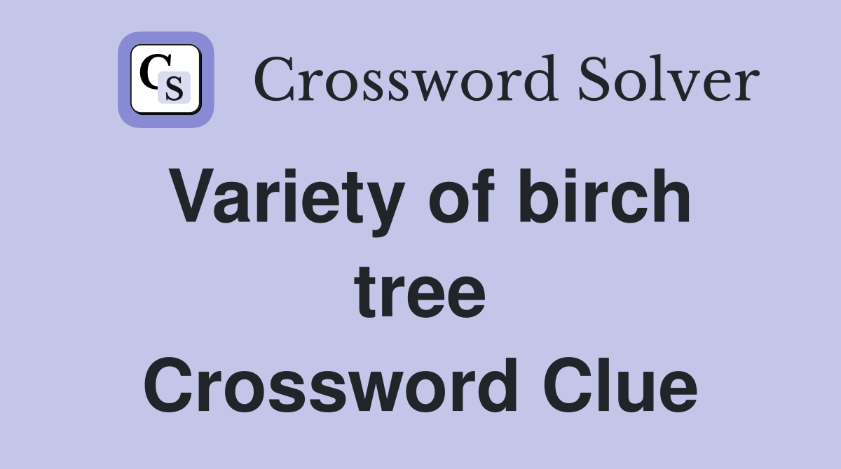Variety of birch tree Crossword Clue