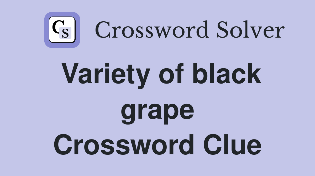Variety of black grape Crossword Clue
