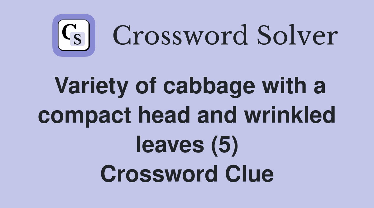 Variety of cabbage with a compact head and wrinkled leaves (5) Crossword Clue