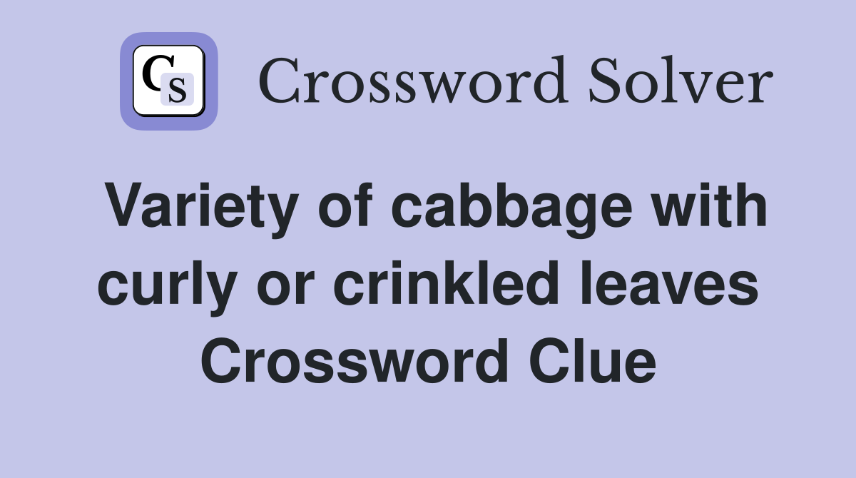 Variety of cabbage with curly or crinkled leaves Crossword Clue