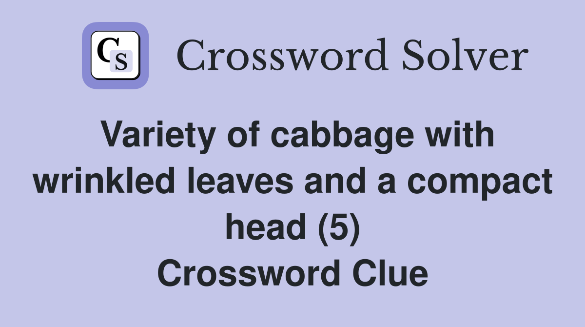 Variety of cabbage with wrinkled leaves and a compact head (5) Crossword Clue