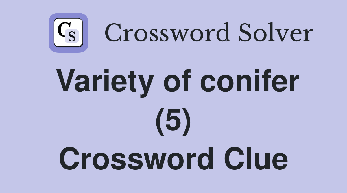 Variety of conifer (5) Crossword Clue