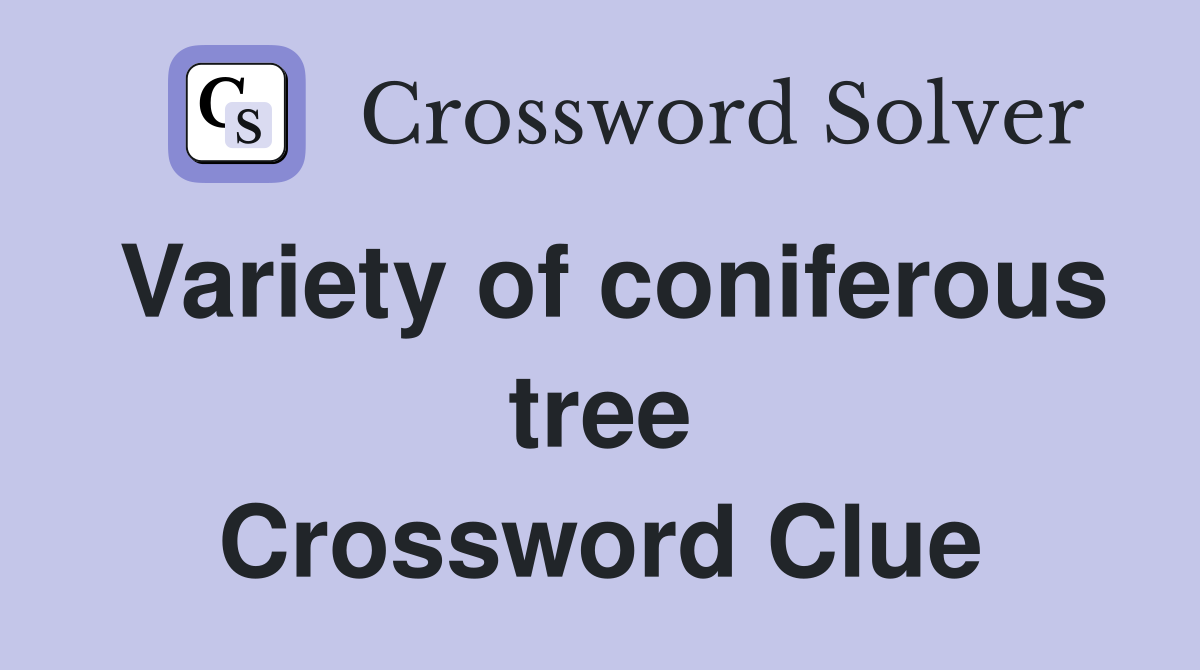 Variety of coniferous tree Crossword Clue