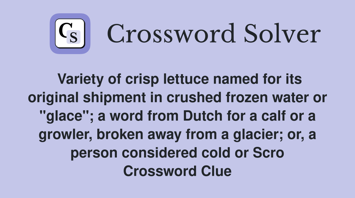 Variety of crisp lettuce named for its original shipment in crushed frozen water or "glace"; a word from Dutch for a calf or a growler, broken away from a glacier; or, a person considered cold or Scro Crossword Clue