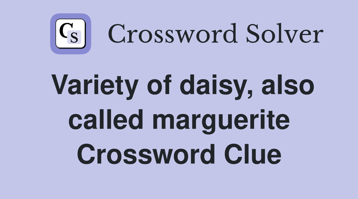 Variety of daisy, also called marguerite Crossword Clue