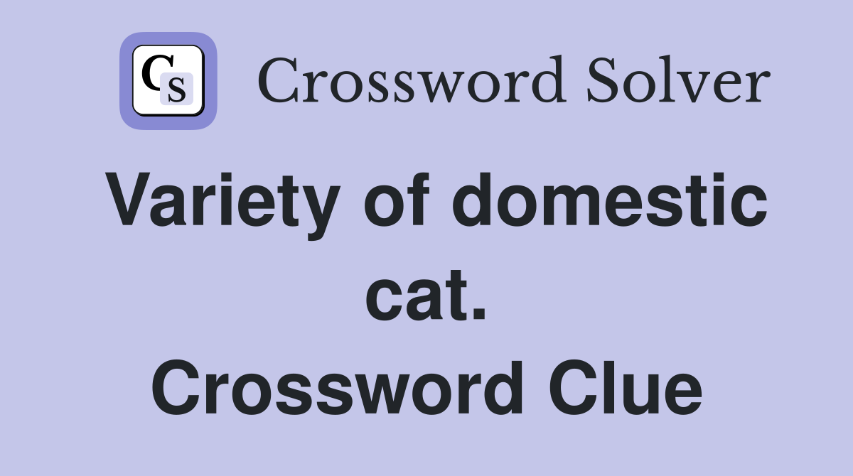 Variety of domestic cat. Crossword Clue