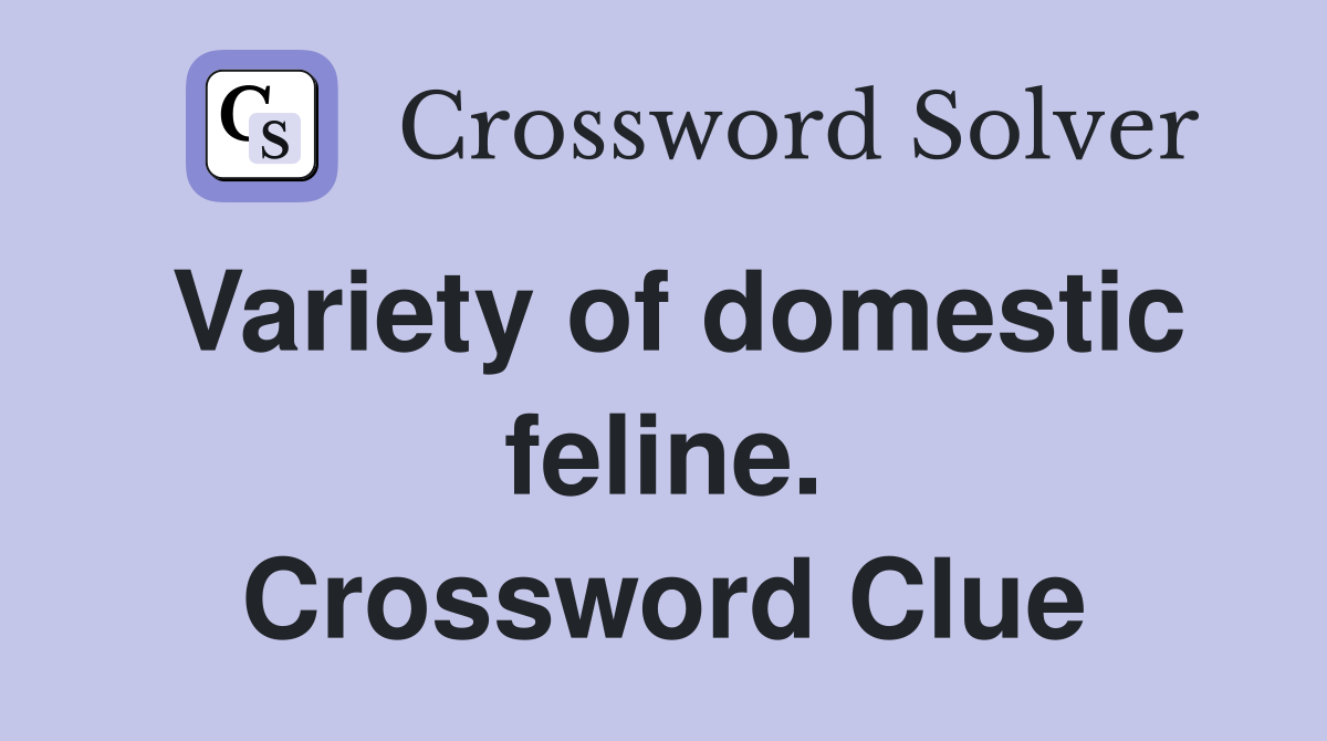 Variety of domestic feline. Crossword Clue